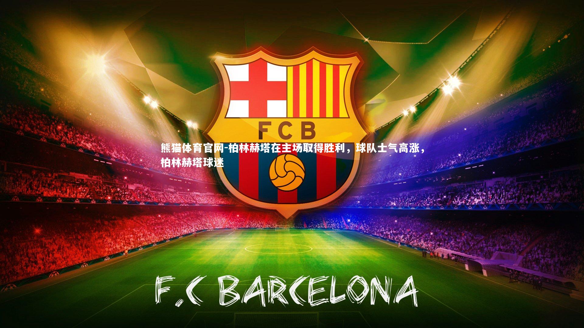 柏林赫塔在主场取得胜利,球队士气高涨,柏林赫塔球迷