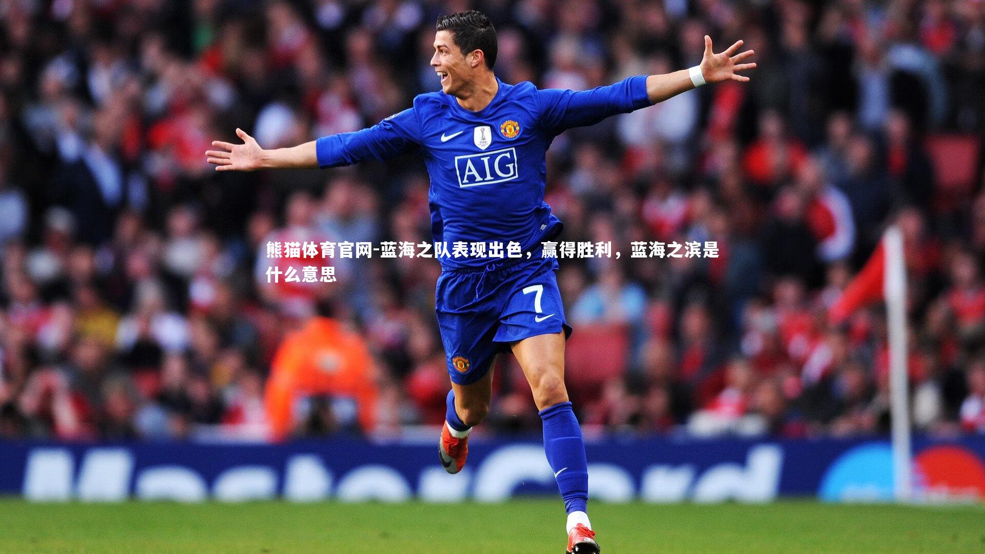 蓝海之队表现出色,赢得胜利,蓝海之滨是什么意思