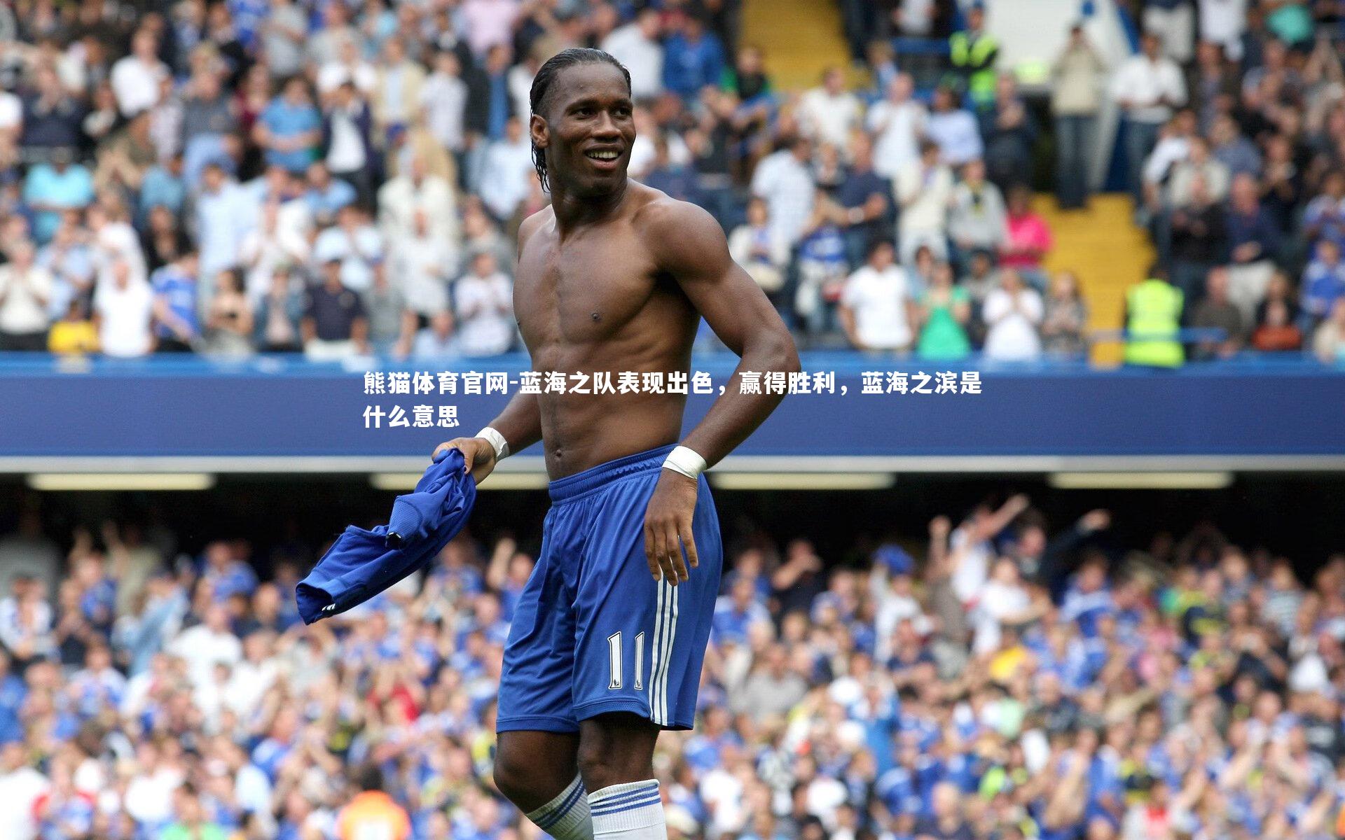 蓝海之队表现出色,赢得胜利,蓝海之滨是什么意思
