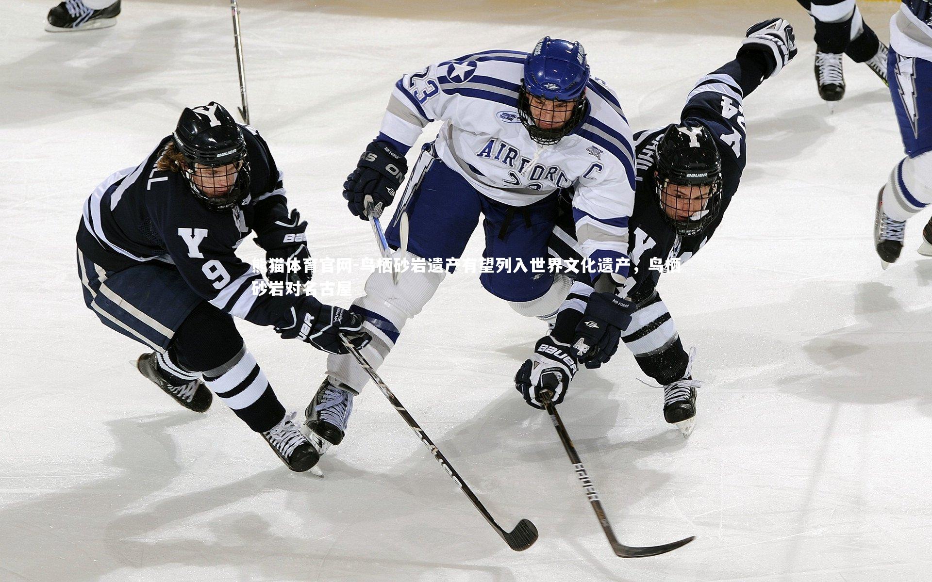 鸟栖砂岩遗产有望列入世界文化遗产,鸟栖砂岩对名古屋