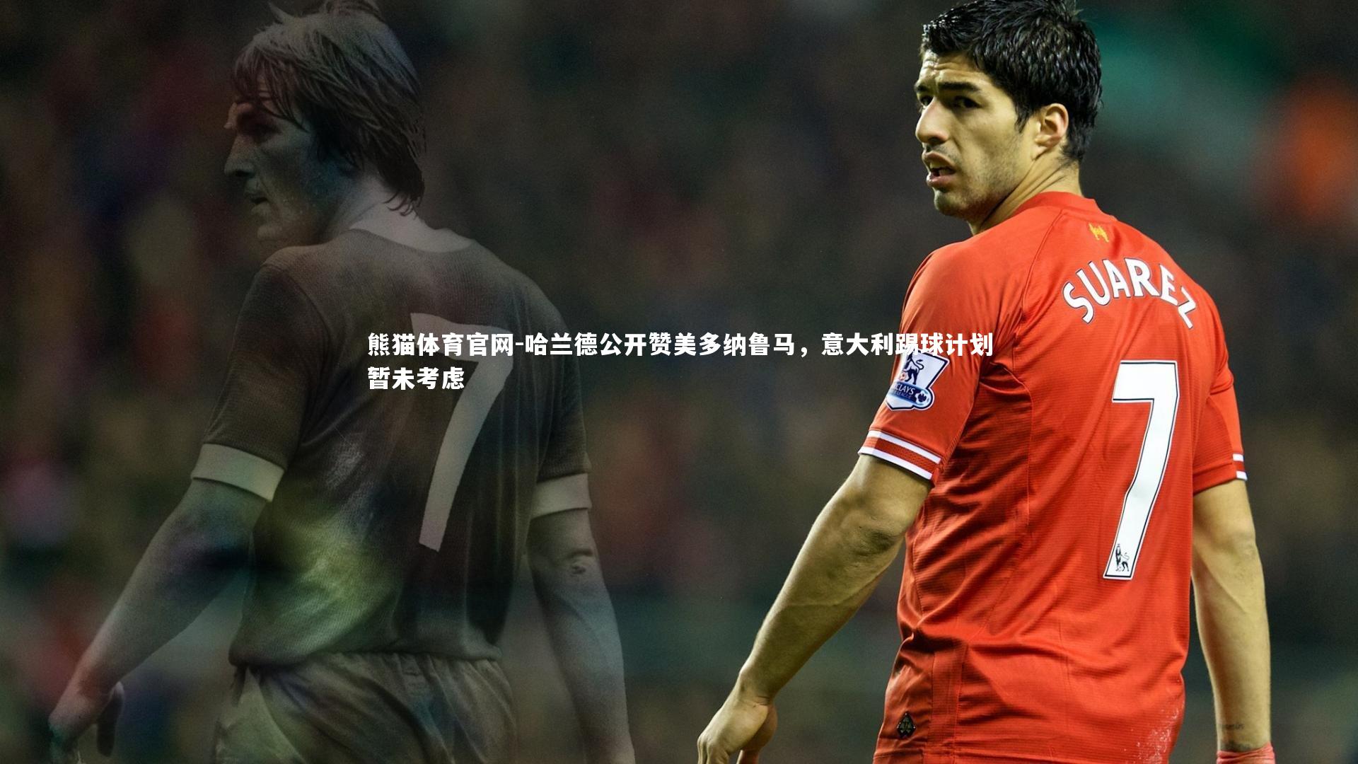 哈兰德公开赞美多纳鲁马，意大利踢球计划暂未考虑