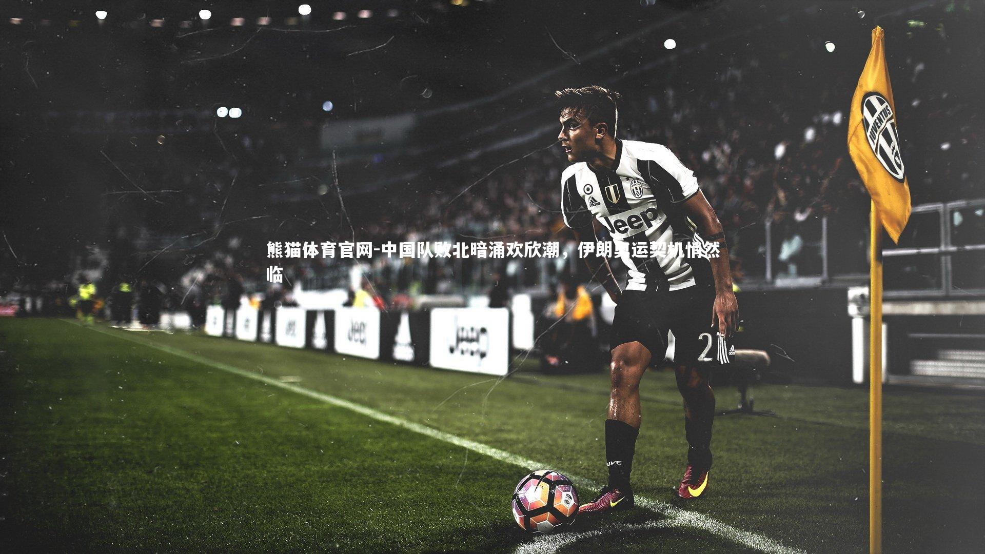 中国队败北暗涌欢欣潮,伊朗奥运契机悄然临